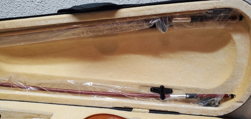 Cecilio CVN-300 4/4 Violin (With Case)