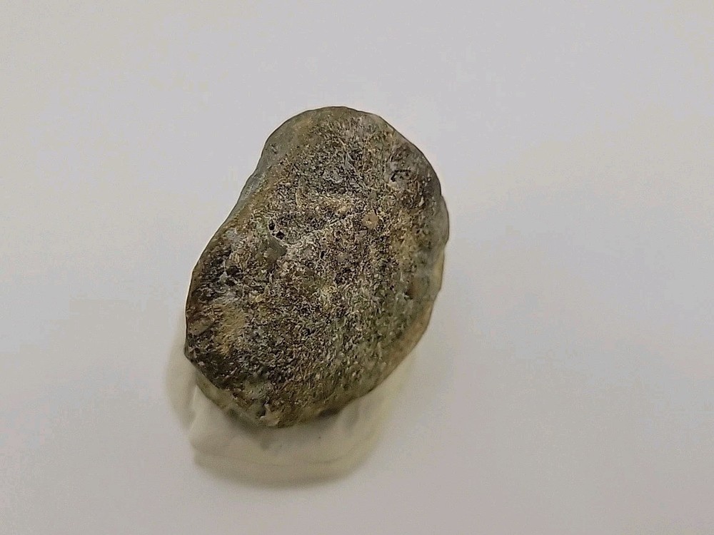 Real Permineralized Dinosaur Half Egg Embro Uv Reactive