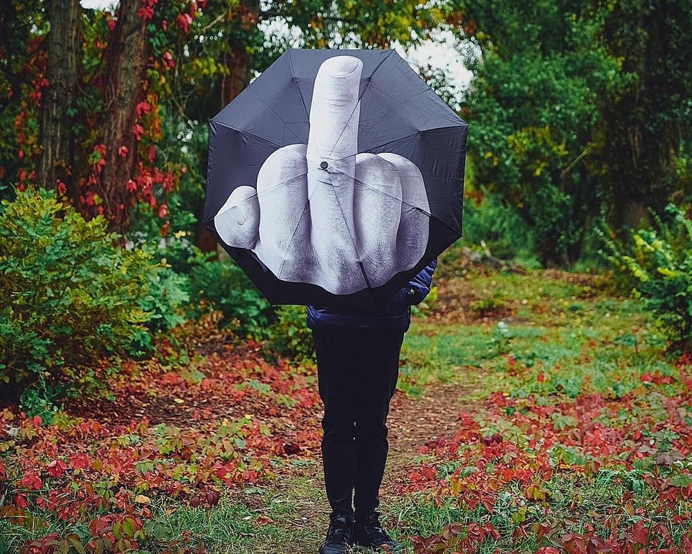 DS. DISTINCTIVE STYLE Middle Finger Umbrella Funny Folding Creative...