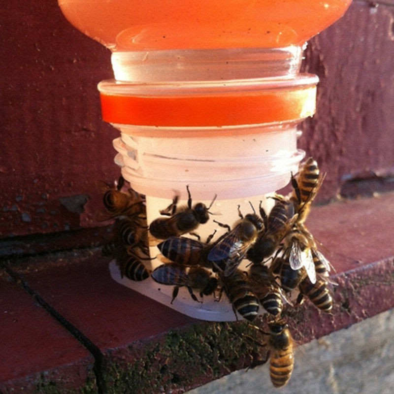 Bee Feeder Set of Three Drinking Fountain Tools Designed for Safe Hydration