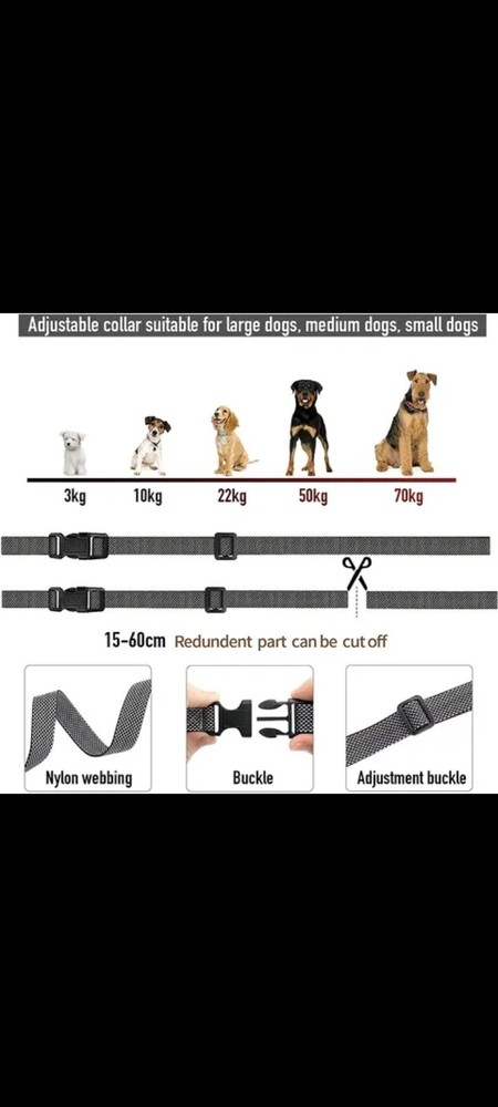 anti bark dog collar