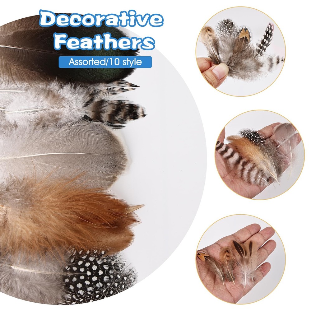 300 pcs Small Feathers - 10 Style Mixed Spotted Decorative Natual Pheasant Fe...