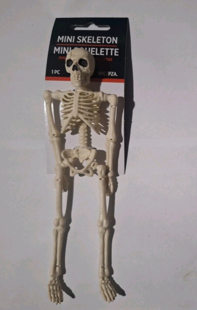 Halloween mini skeleton 1pc