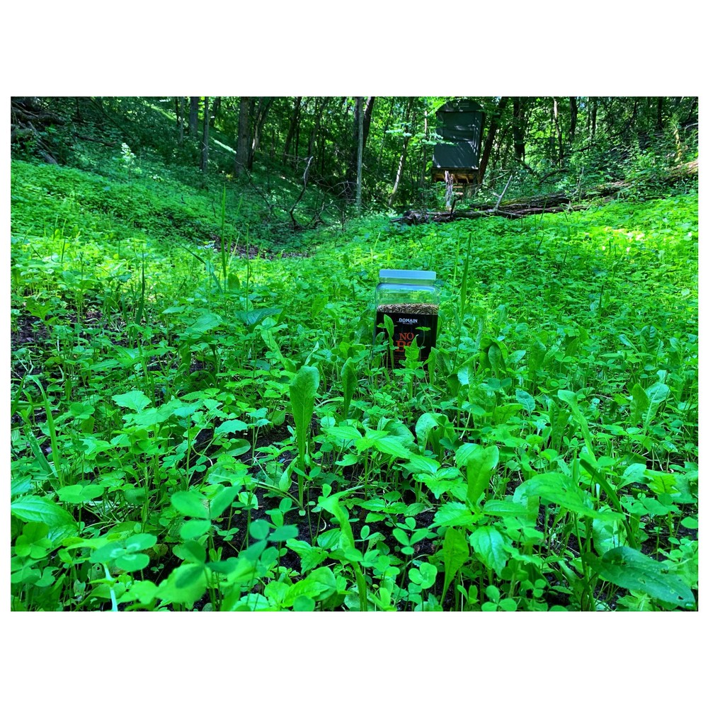 Domain No BS Food Plot Mix ~ 4.5 lb ~ FREE SHIPPING