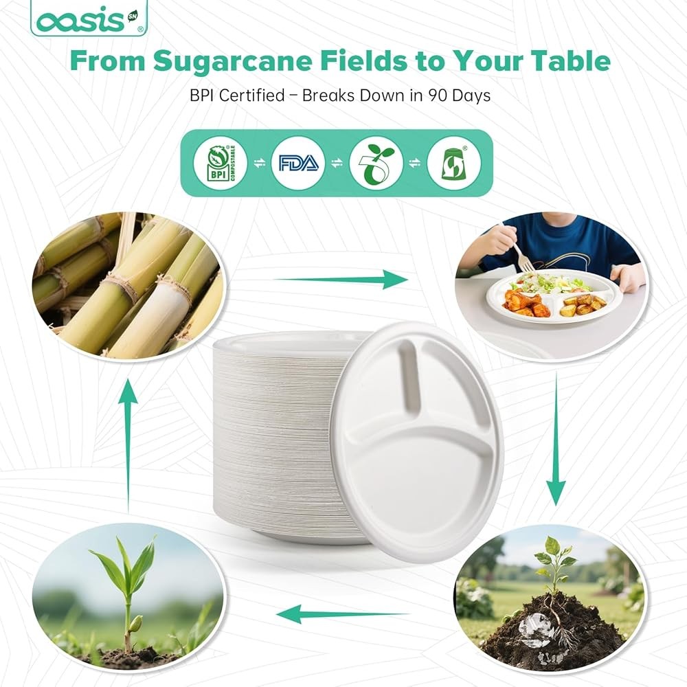𝟭𝟬 𝗶𝗻𝗰𝗵, 𝟭𝟮𝟴-𝗣𝗮𝗰𝗸 3-partment Disposable Paper Plates,