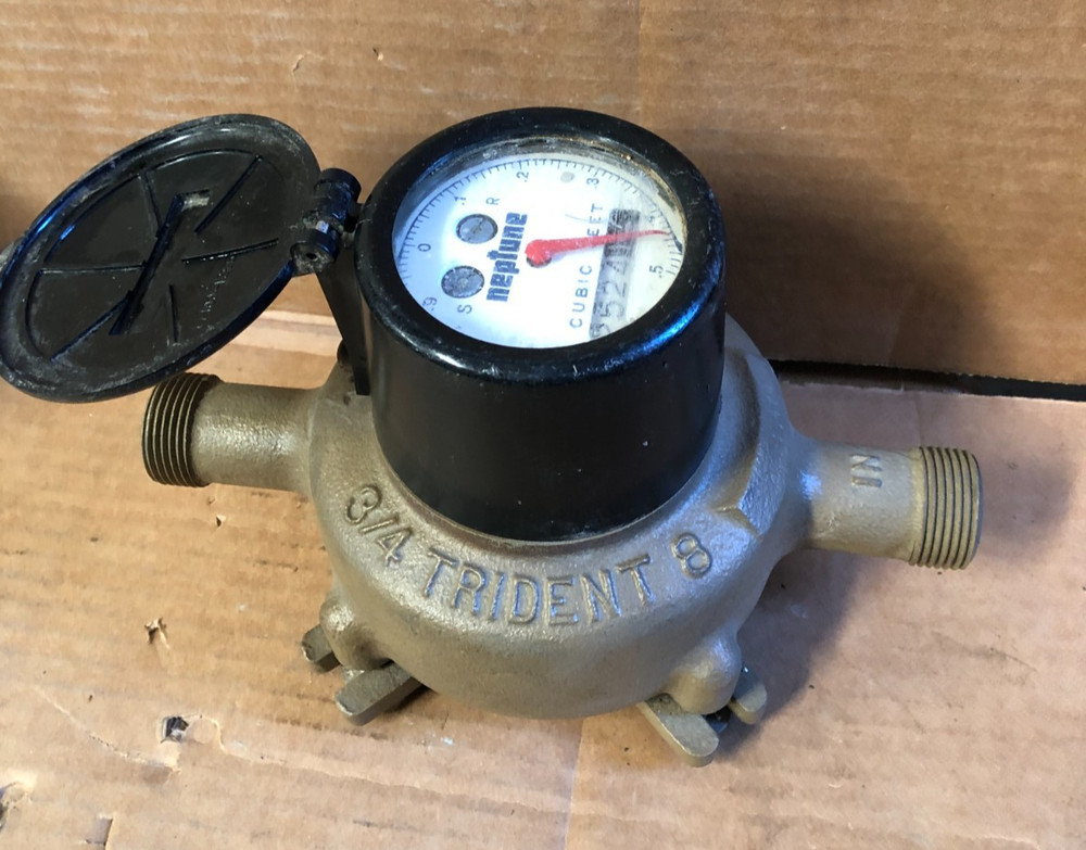 Neptune Trident 8 Water Meter 3/4" Brass