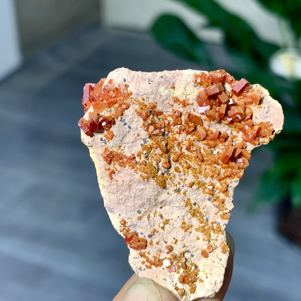 21GNatural Beautiful Vanadinite Atone Cluster Quartz Mineral SamplefromMorocco
