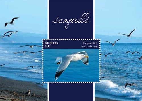 SAINT KITTS 2015 - SEAGULLS STAMP SOUVENIR SHEET MNH