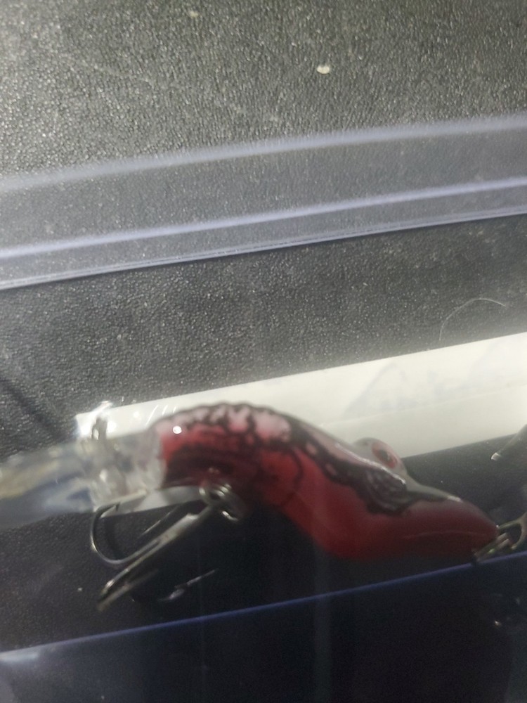 Crawdad Pond Bait