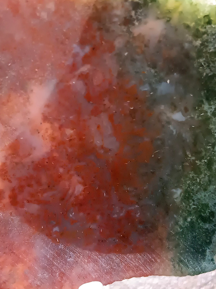 Maury Mountain Moss Agate Slab - Oregon