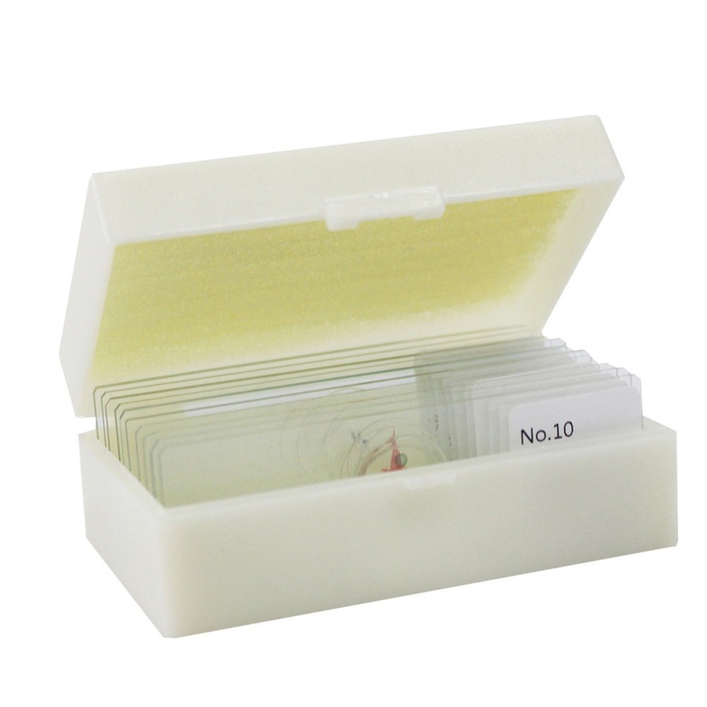 10 PCS/Set Specimen Slides for Microscope and Coverslips Concave