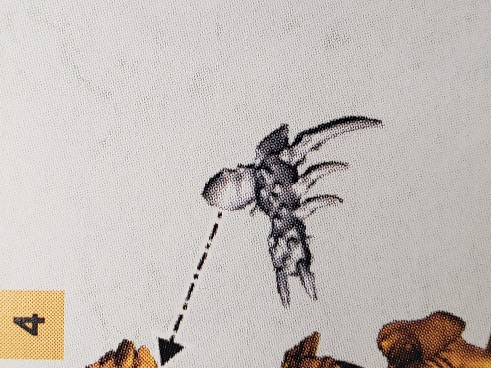 Warhammer 40k Drukhari Bits Wyches Hydra Gauntlets #06