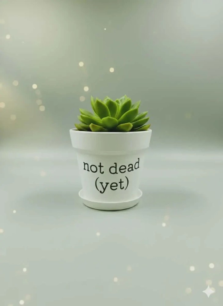 Not Dead (Yet) White Ceramic Planter with Drainage Hole