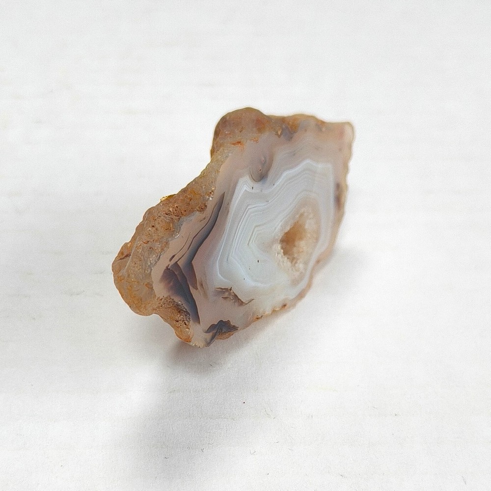 Natural Dendritic Agate Slice - Rare Eagle Point Specimen with Intricate Pattern
