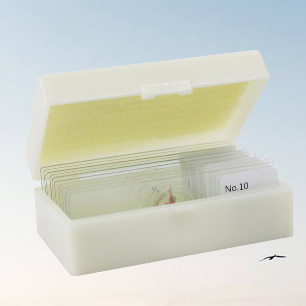 10 PCS/Set Specimen Slides for Microscope and Coverslips Concave