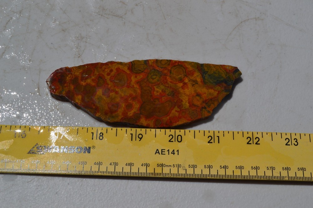Morgan Hill Poppy Jasper Slab