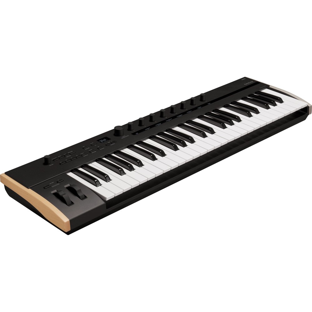 Korg Keystage 49 Poly AT MIDI Keyboard Controller CABLE KIT