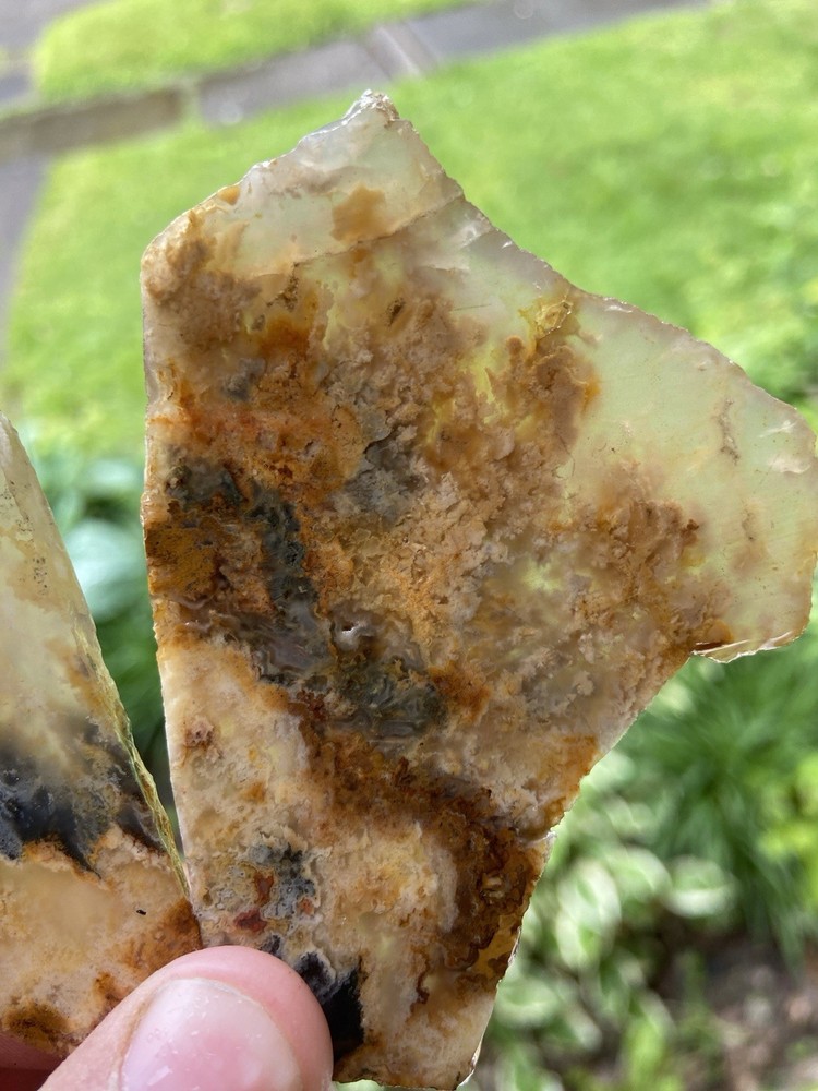 Graveyard Plume Agate 2 Pieces 70 Grams