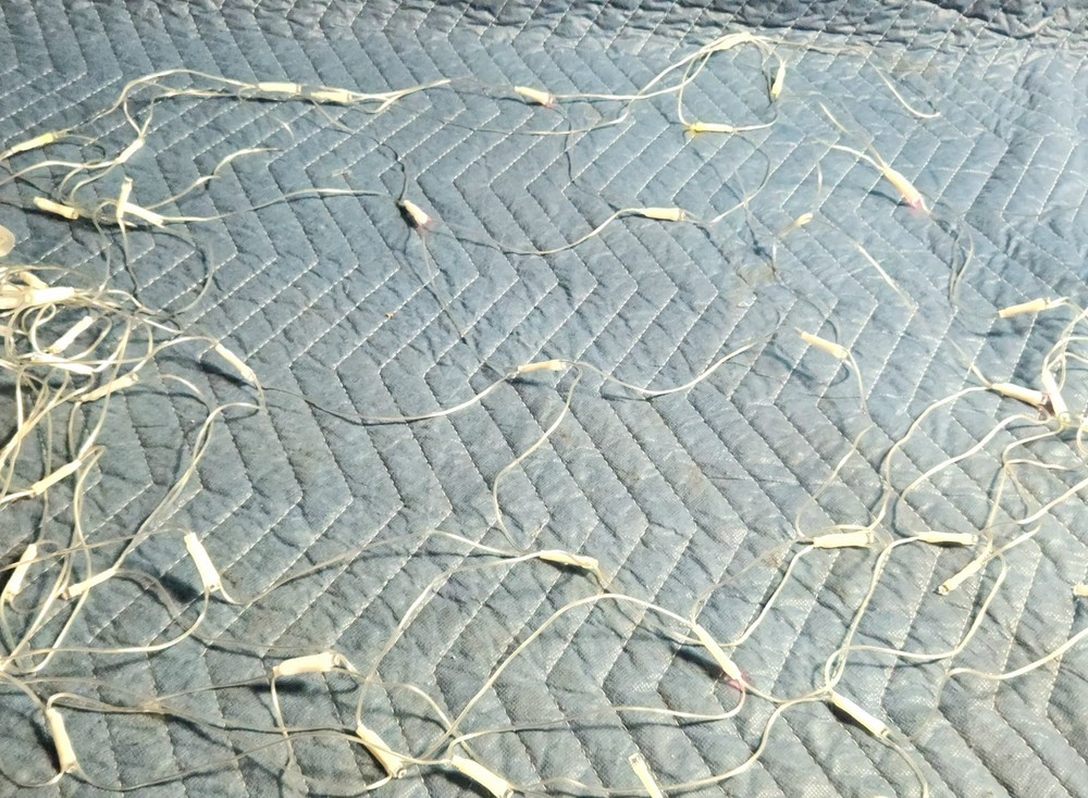 Solor Powered, Muti-colored Netting Lights