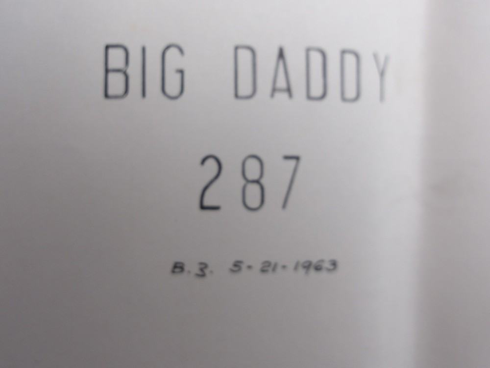 Williams: Big Daddy - Schematic - Excellent