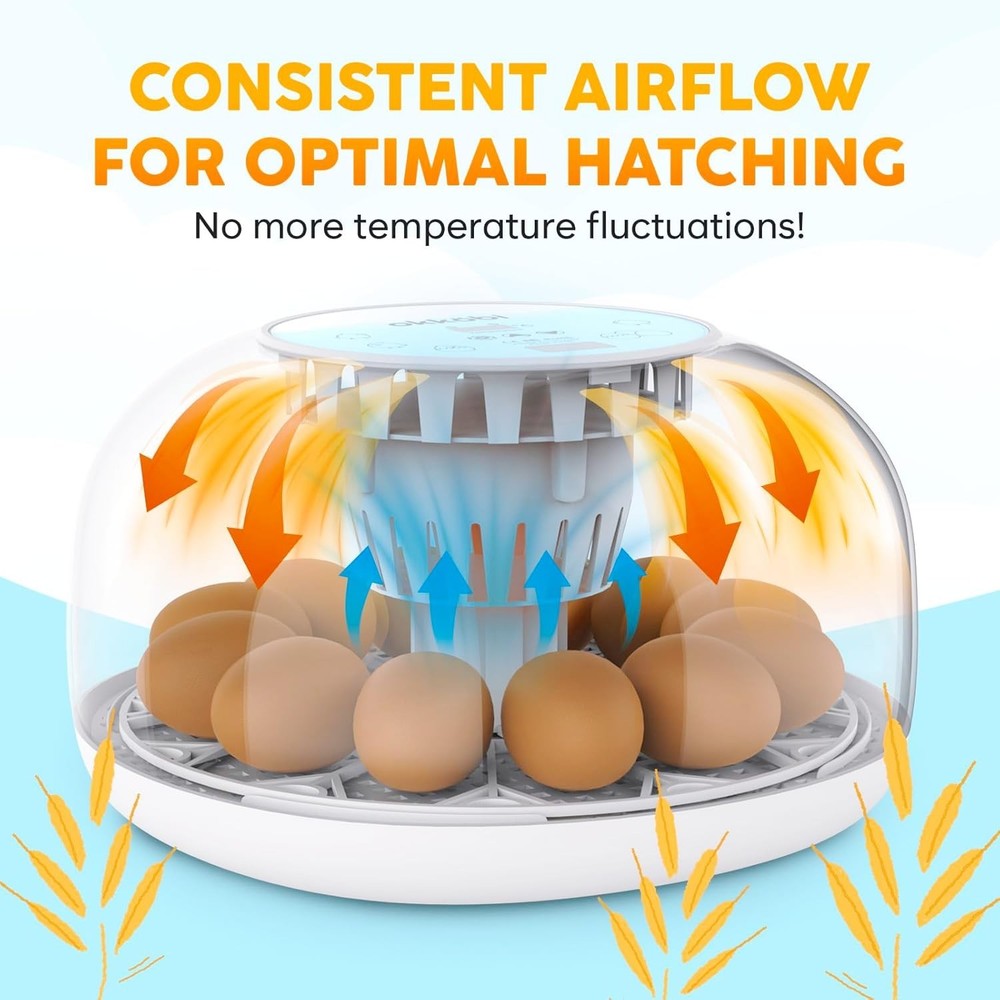 Egg Incubator with Automatic Egg Turning and Humidity Control - 12 Eggs