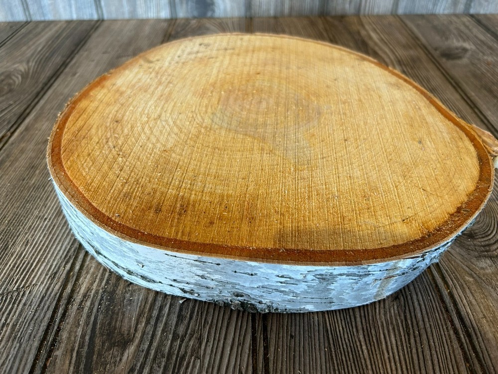 White Birch Slice Approximately 10 Inches Diameter
