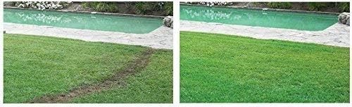 Liquid Lawn Kit - Grass Seed Blend - Covers 500 Sq ft - Easy Hose Application
