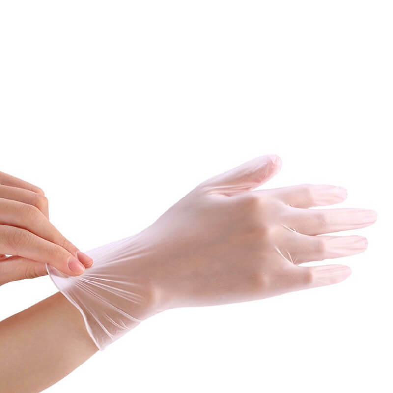 Large Vinyl Gloves *Lightly Powdered* 200 COUNT [VGLX2]