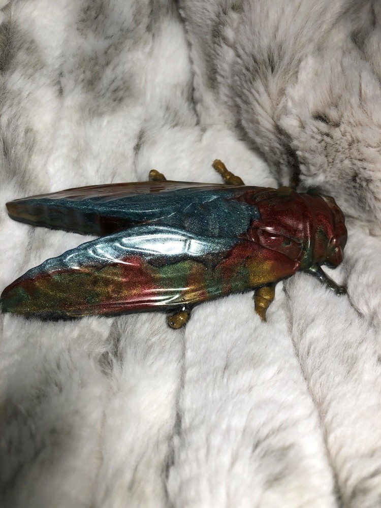 Moth ￼￼ Wall hanging￼