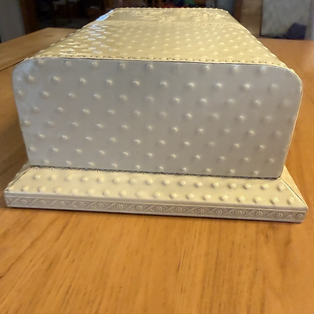 Fancy Vanity Victorian Celluloid Embossed Box with Comb Brush *READ*