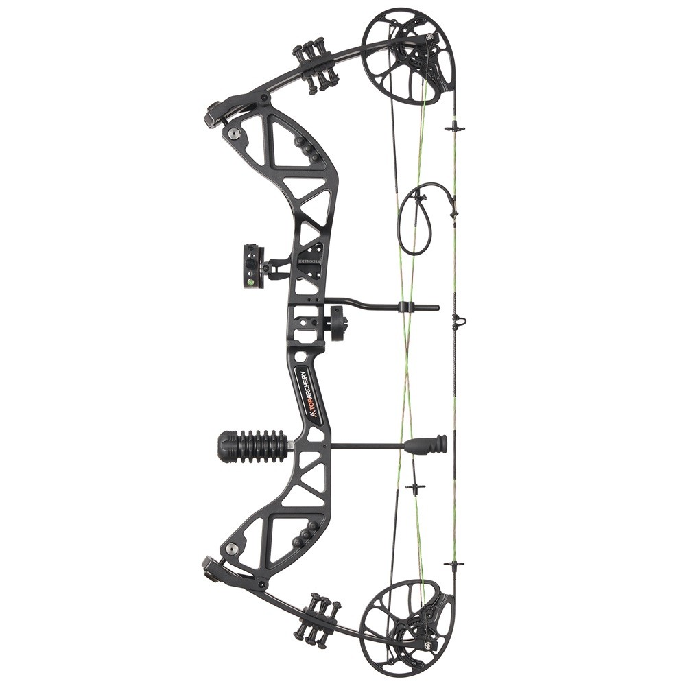 Compound Bow 30-70lbs Adjustable Archery Bow Carbon Arrows Hunting Shoot Target