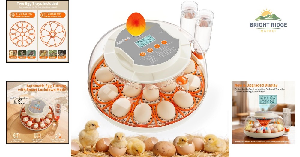 18 Egg Incubator with Automatic Turning, Humidity Control & Adjustable Settings