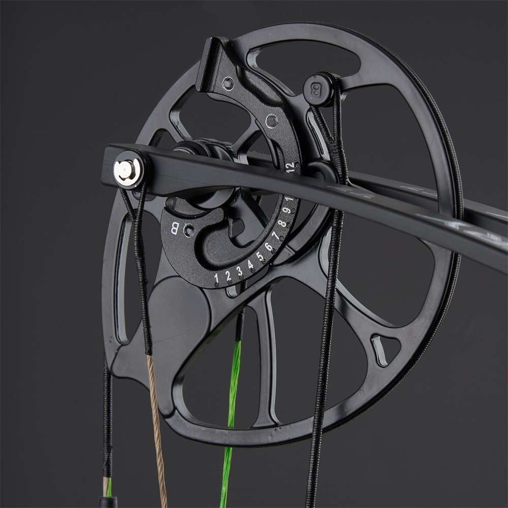 Compound Bow 30-70lbs Adjustable Archery Bow Carbon Arrows Hunting Shoot Target