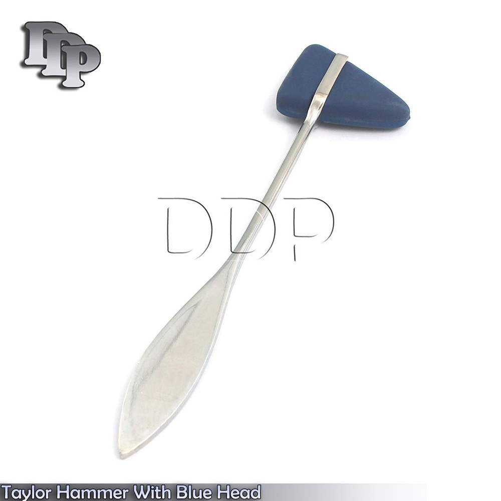 Taylor Percussion Hammer With Blue Head