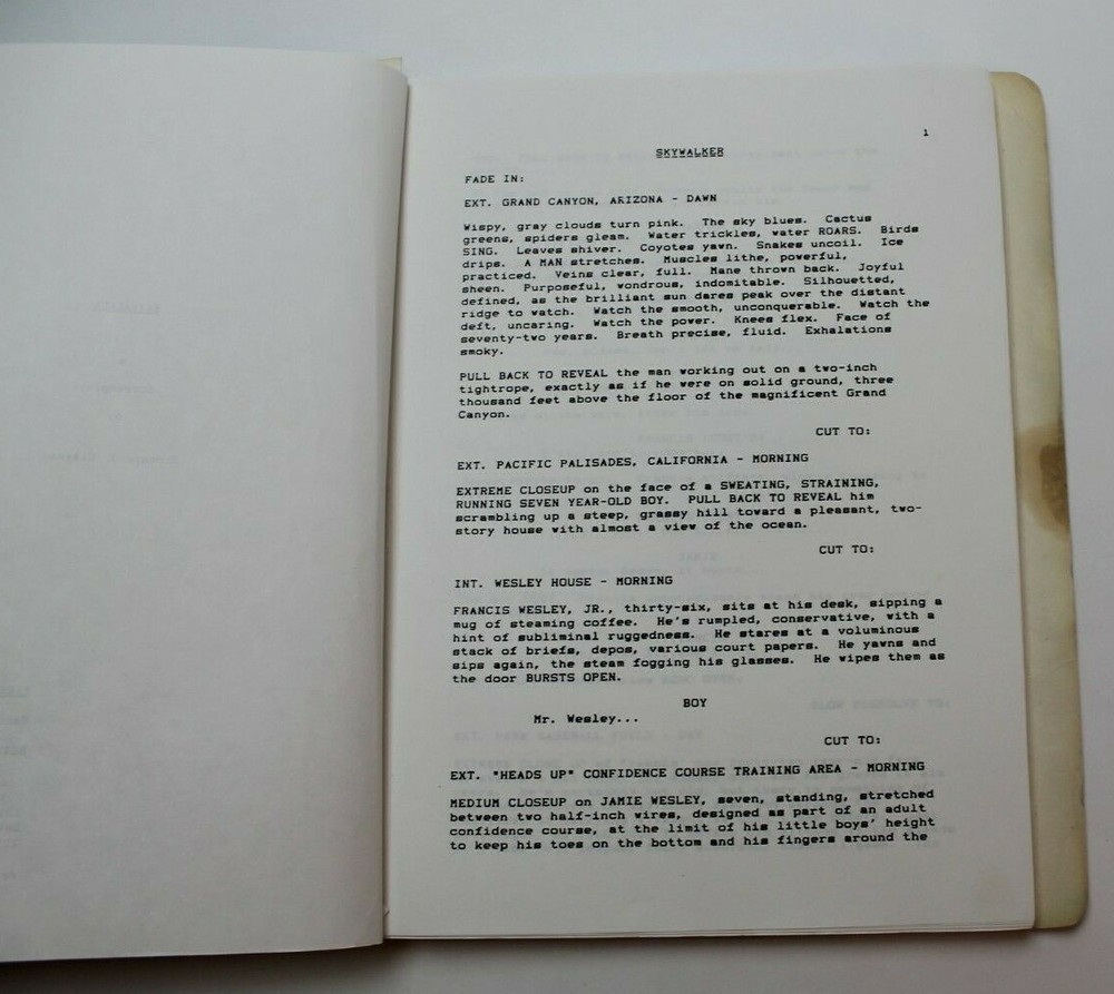 SKYWALKER / Richard Clayman, 1989 Unproduced Screenplay, Father/Son relationship