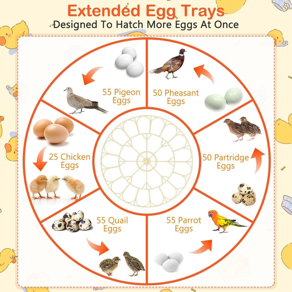 Compact Egg Incubator for Multiple Bird Species