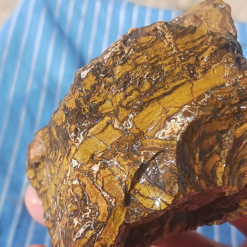 Jasper Rough Specimen Display Lapidary Potential