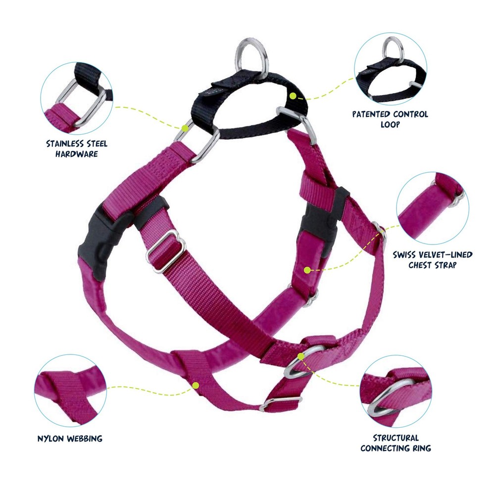 Raspberry No Pull Dog Harness Anti Pull Adjustable Chest 28 to 32 Inches