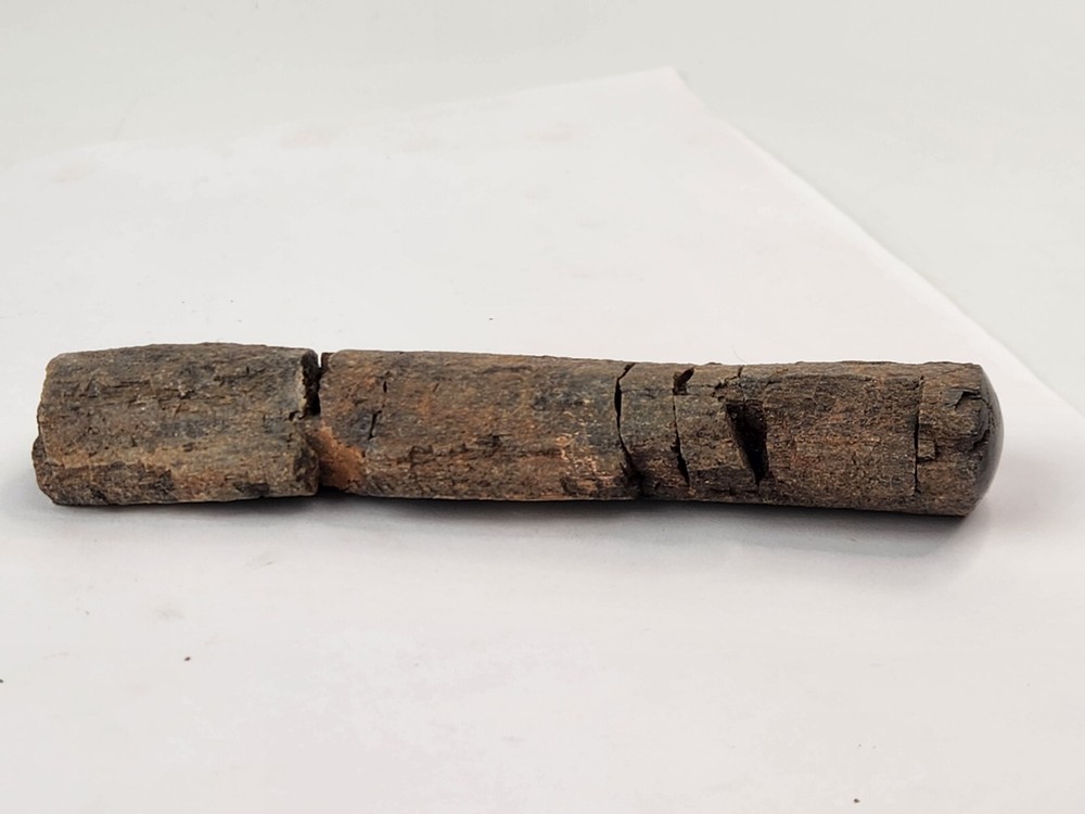 Polished Dinosaur Bone (Rib?) Fossil - Morrison Fm.