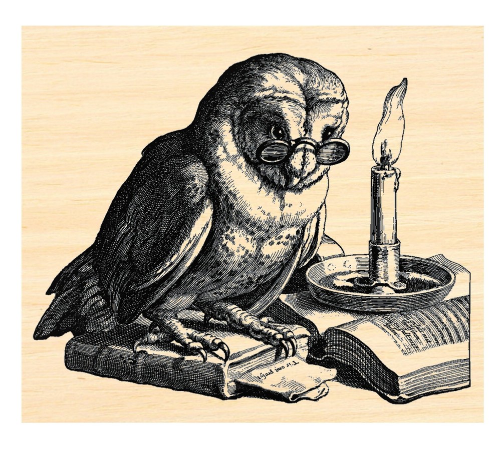 P126 Reading Owl rubber stamp