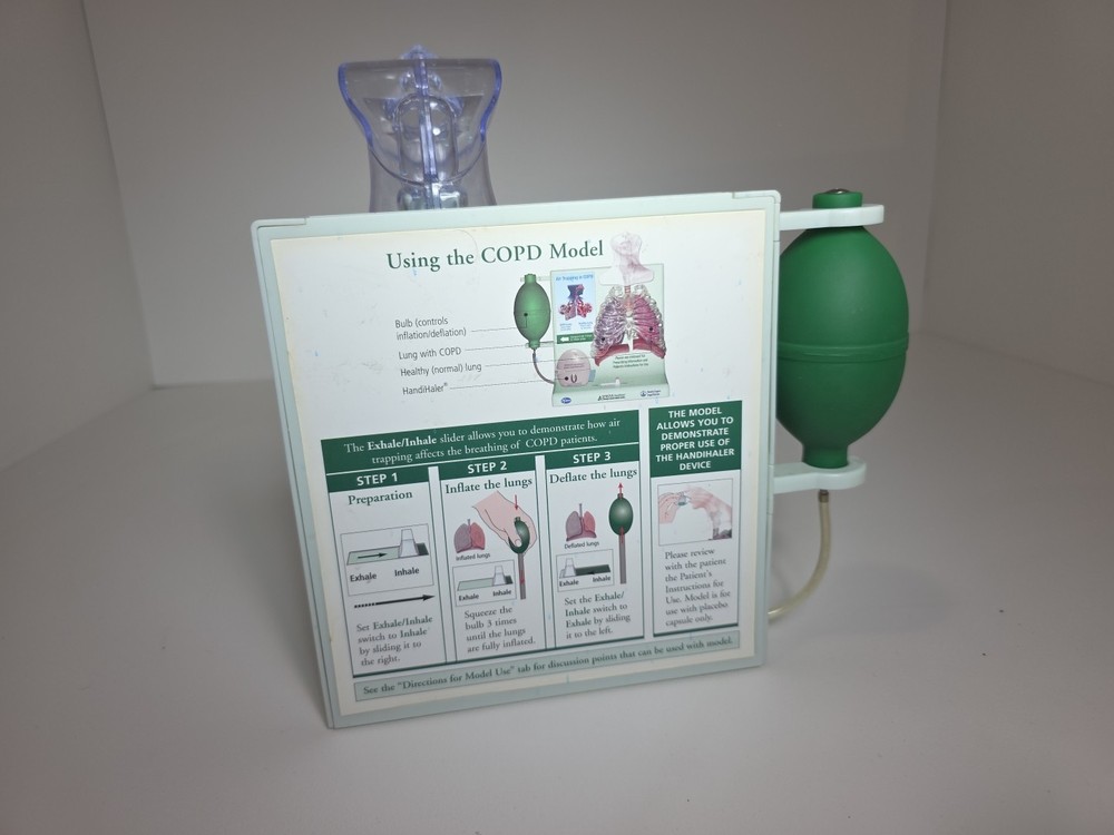 Vintage Pfizer Lung Display Model - Interactive Pump-expanding Lungs Works