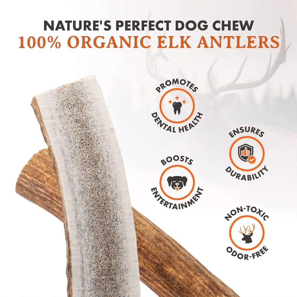 Elk Antler Chews (Large, Split)