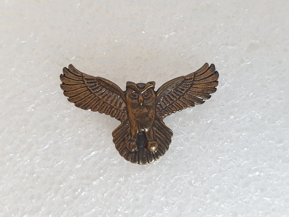 Pin. Badge. OWL. Eagle Owl.