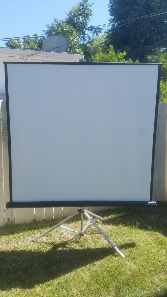 Da-Lite Picture King Projector Screen 6' x 6'