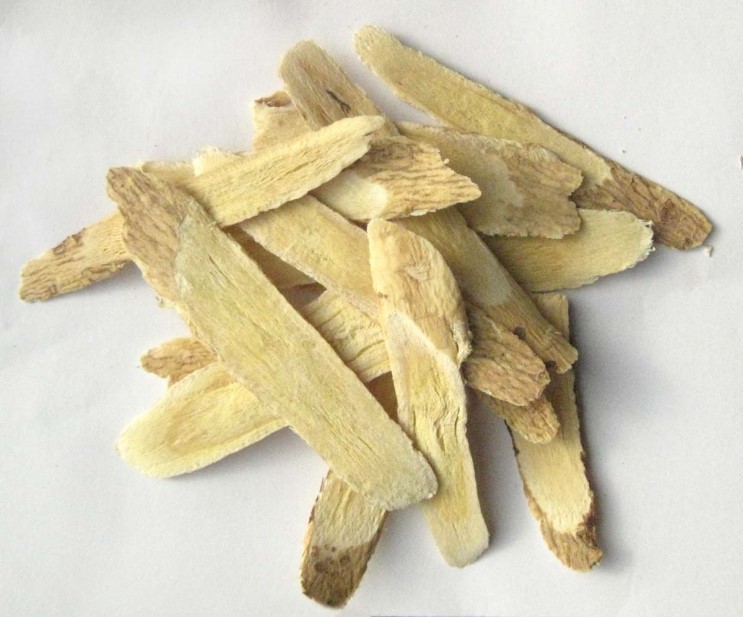 Huang Qi - Astragalus Root Slice, 黃芪 황기 Astragalus membranaceus Root