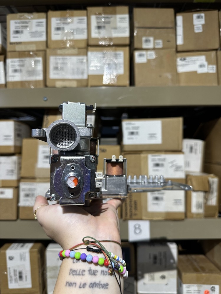 100076317 | 320273-356 | EK460 | A.O. Smith Manifold/Gas Valve Assembly Natural