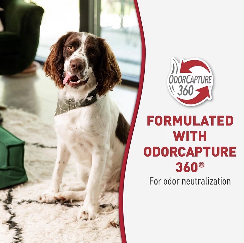Nature's Miracle Advanced Severe Mess Enzymatic Stain & Odor Eliminator