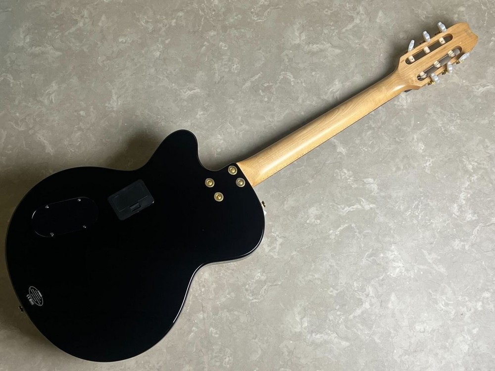 YAMAHA AEX500NS