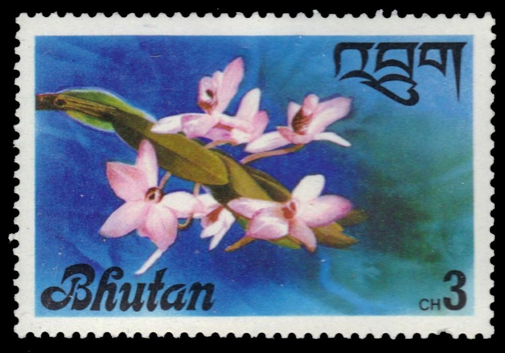 BHUTAN 223 - Himalayan Orchids (pf29677)