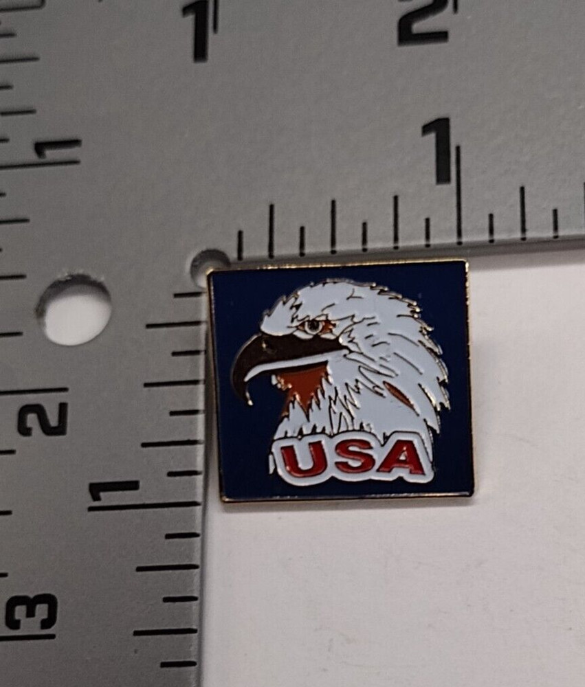 USA Eagle Face Lapel Pin